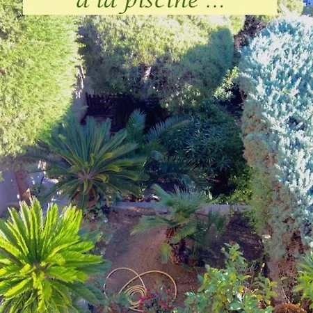 Le Plein Sud Vue Mer Et Cap Canaille Cassis